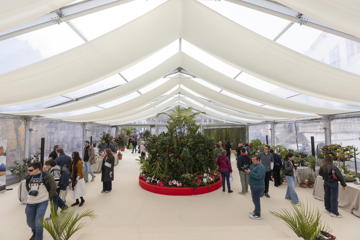 084 Exposição Camélias EMIGUS Bx