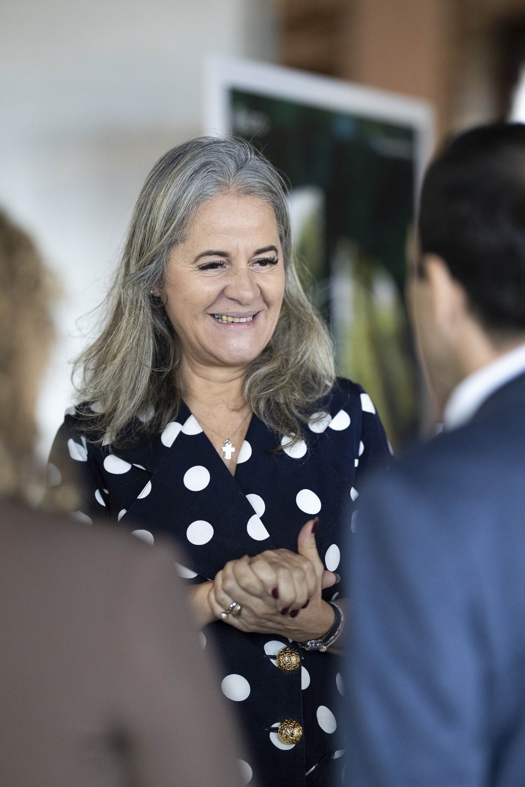 007 Conferência Turismo EMIGUS Preview EMIR2511 1