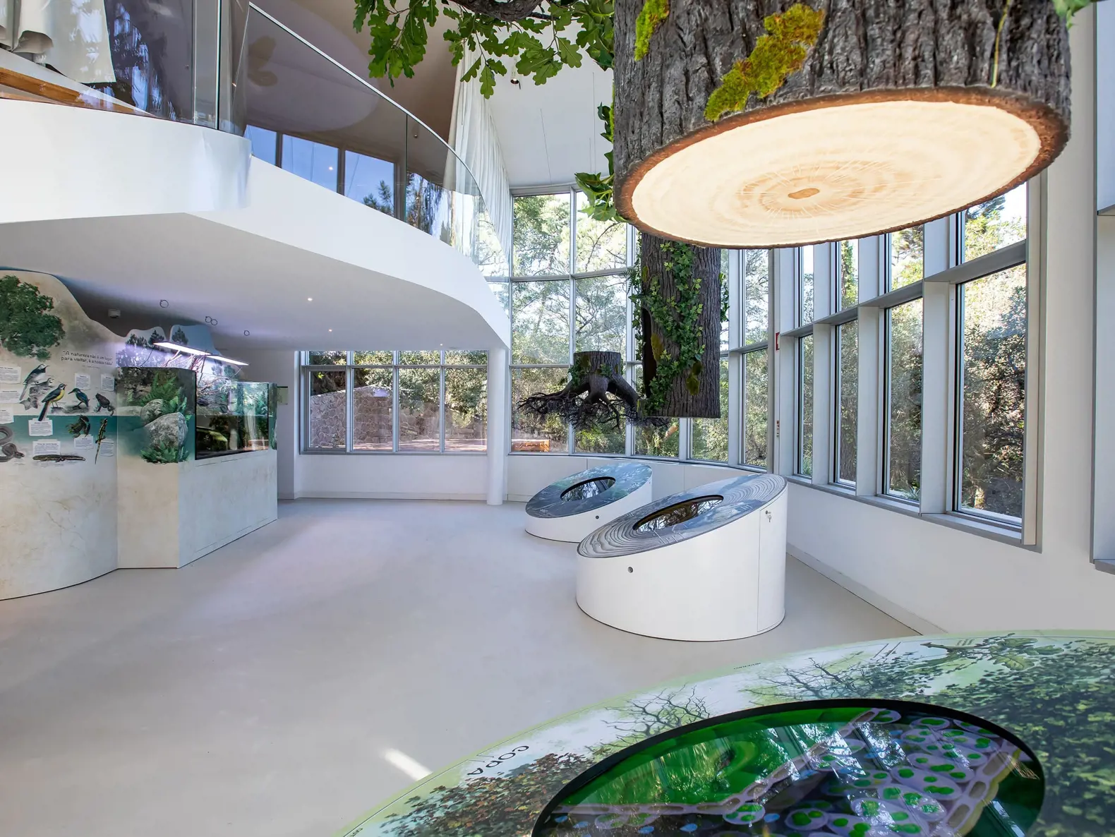 Sintra tem um novo espaço para aprender sobre a natureza Sintra tem um novo espaço para aprender sobre a natureza