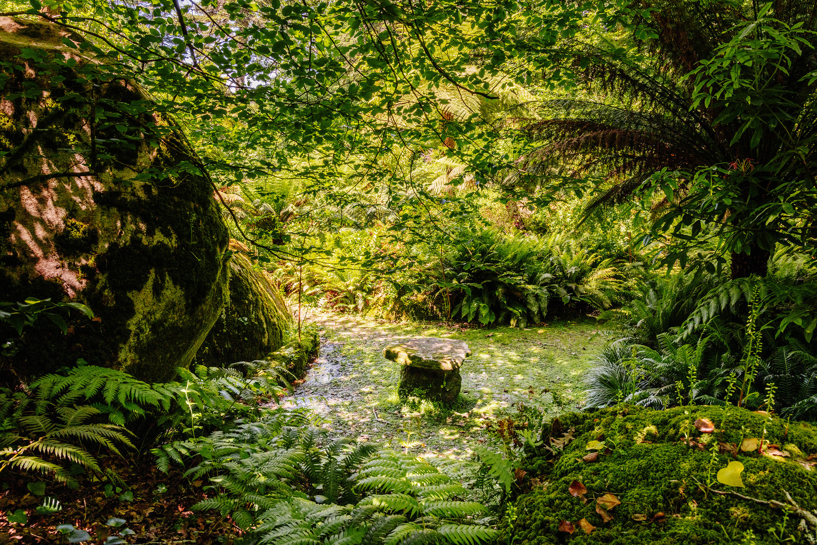Parques De Sintra Parque E Palacio Da Pena Feteira Rainha