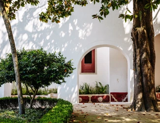 Parques De Sintra Palacio Nacional De Sintra Jardim Da Preta 01