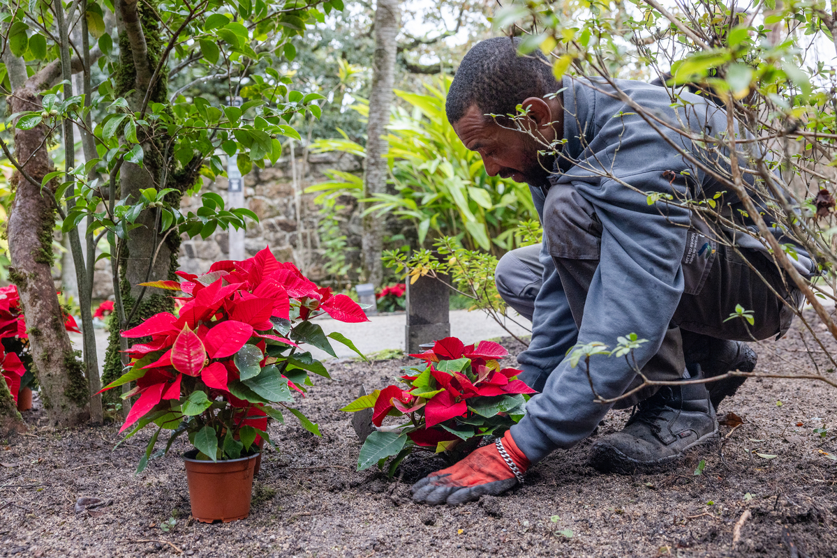 E7A0786©PSML Jose Marques Silva Bx
