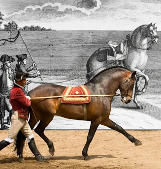 Parques De Sintra EPAE Image 06