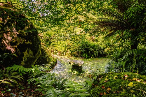 Parques De Sintra Parque E Palacio Da Pena Feteira Rainha