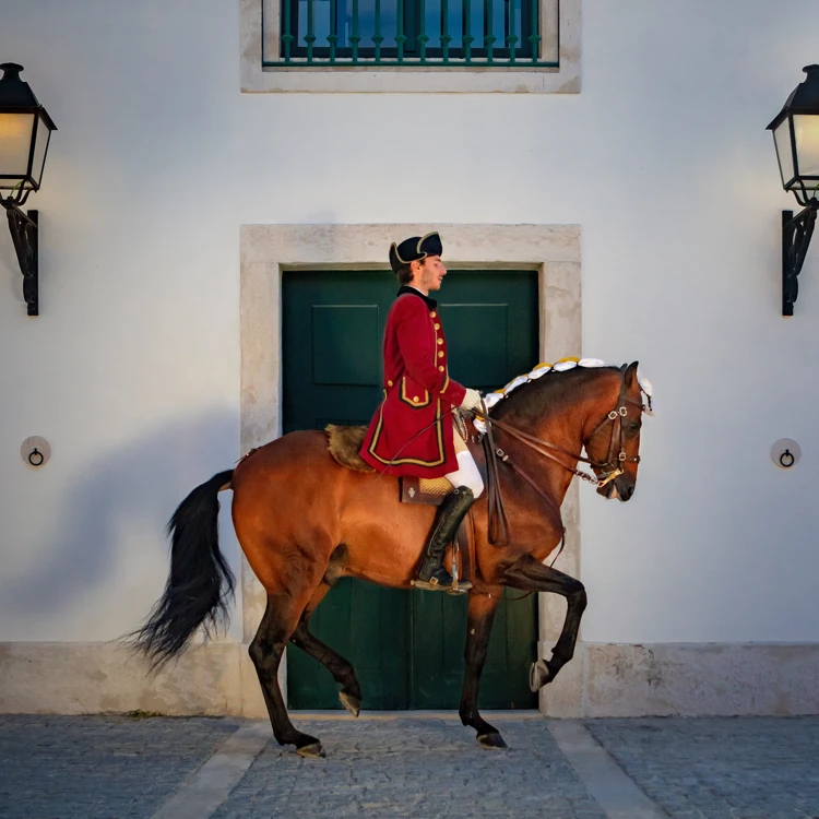 Diferença entre Andar a Cavalo e Montar Cavalo :: Dressage Arte Equestre