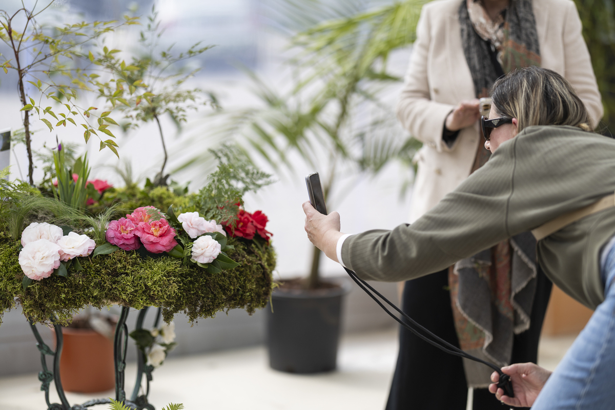 044 Exposição Camélias EMIGUS Bx