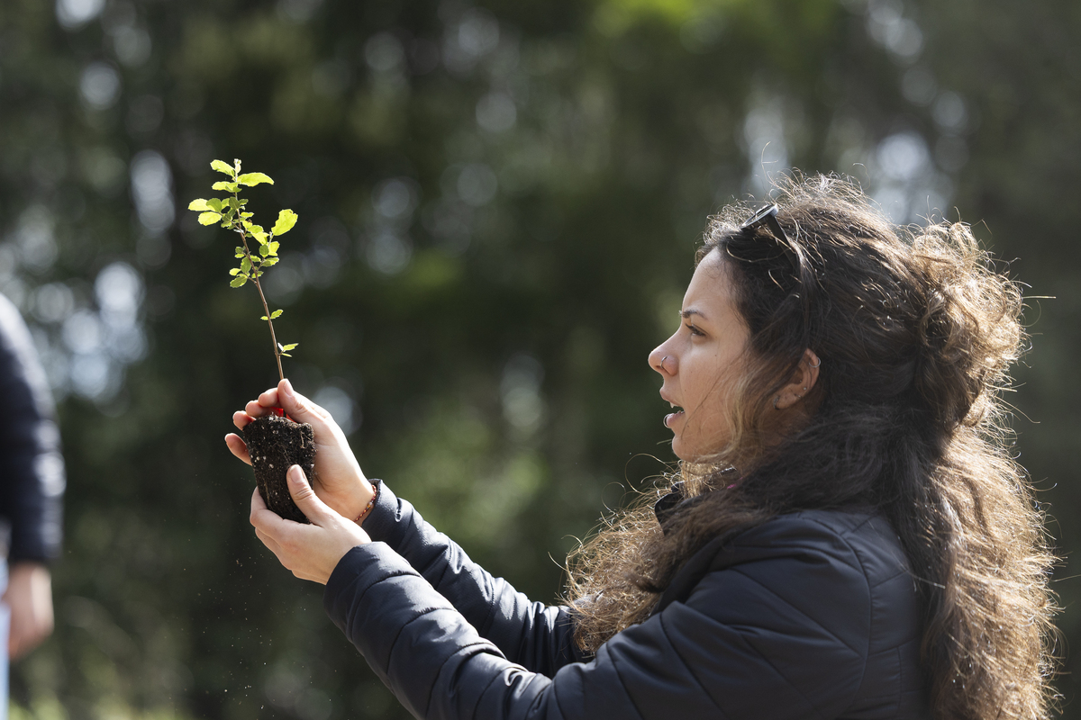 048 Plantação De Árvores EMIGUS Bx