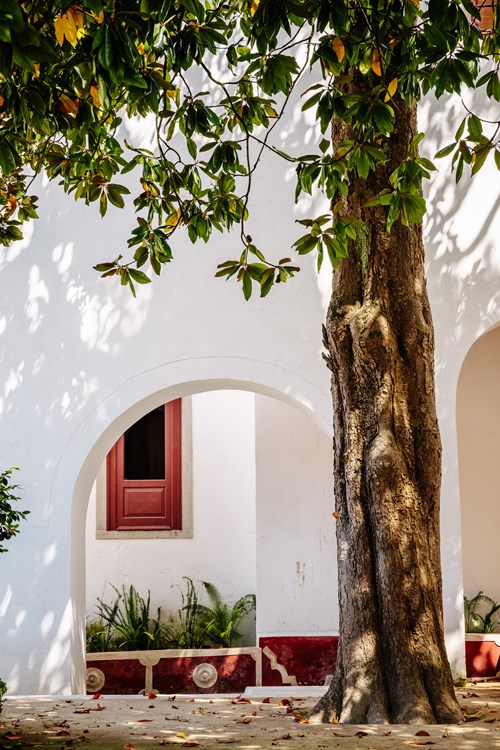 Parques De Sintra Palacio Nacional Sintra Jardim Da Preta