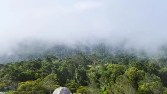 Parques De Sintra Santuario Da Peninha Image 01 2