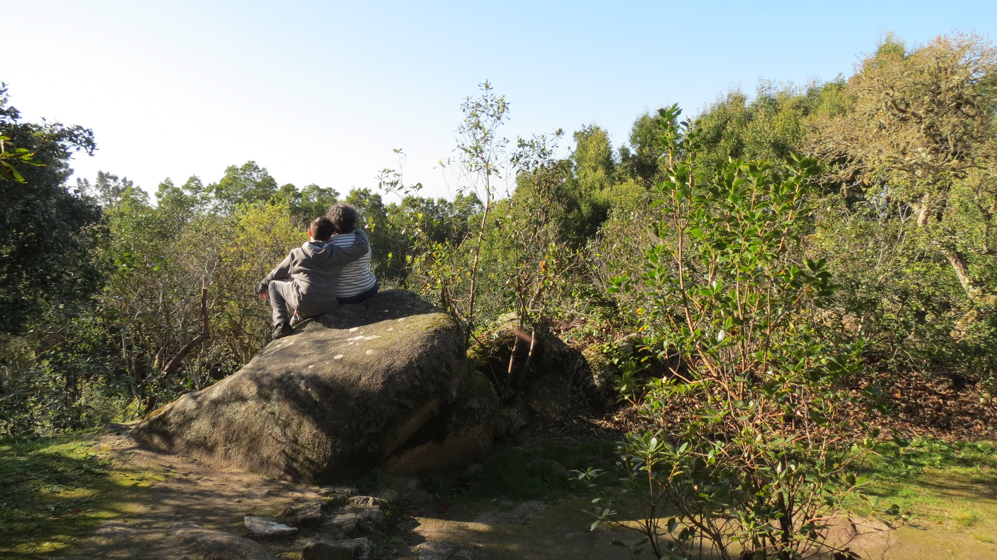 Créditos Forestmind (5)