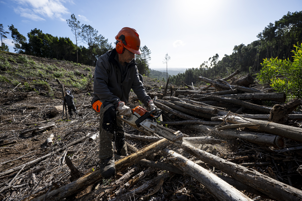 071 Monte Da Lua DSC 5990 20251120November 20, 2025 Bx Emigus