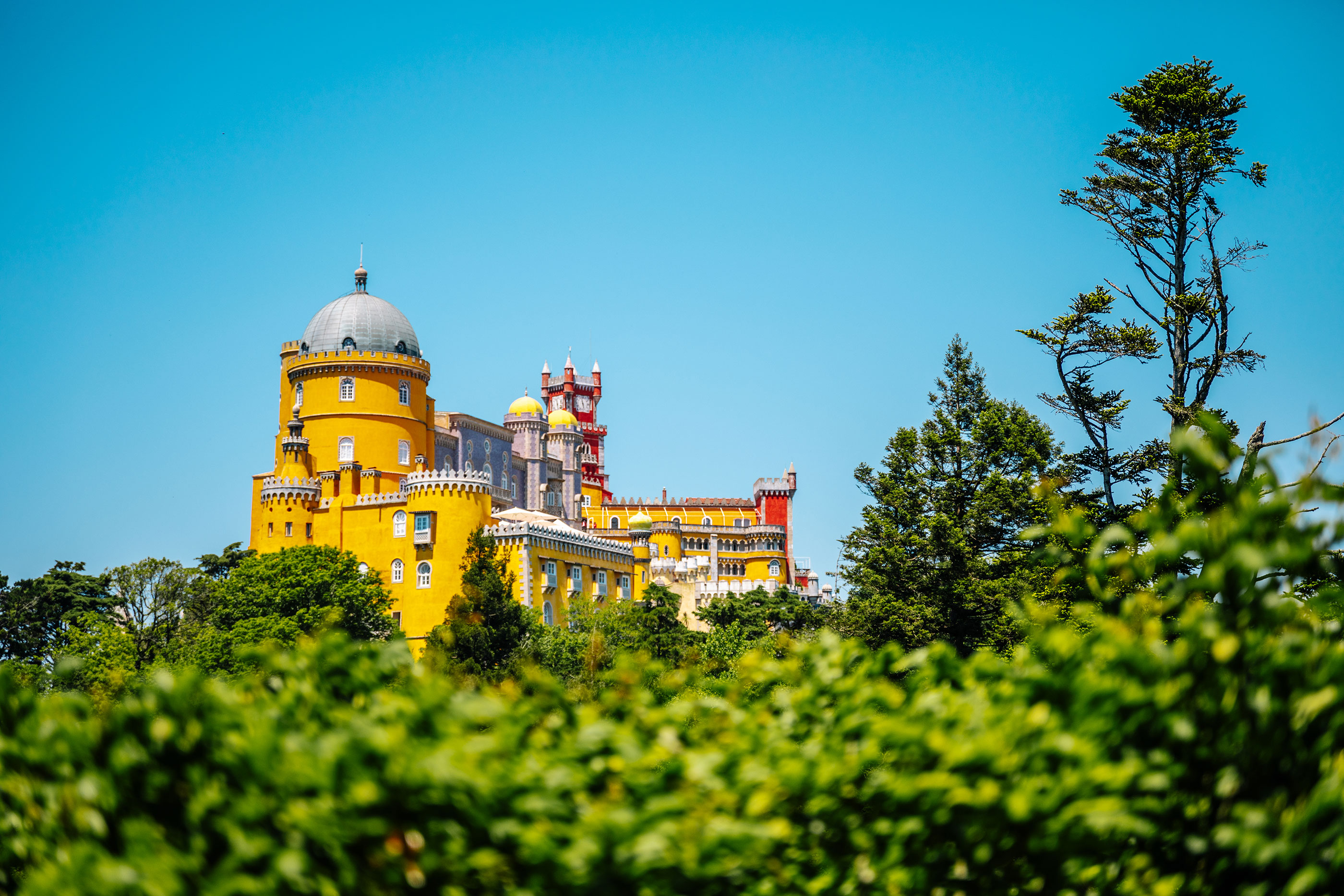 Parques De Sintra Parque E Palacio Da Pena