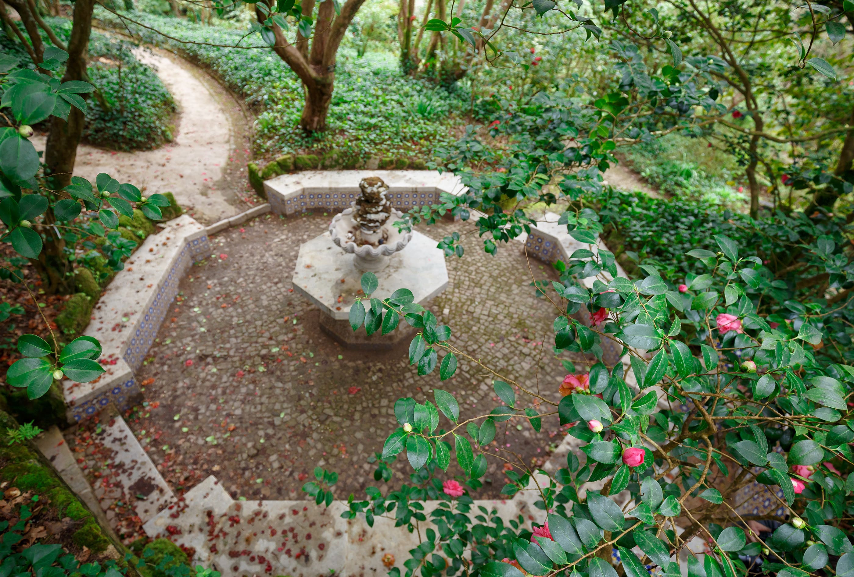 Parques De Sintra Parque E Palacio Da Pena Jardim Camelias