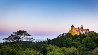 WTA2022 VOTE Palacionacionalpena Luís Duarte PSML 0866 (1)