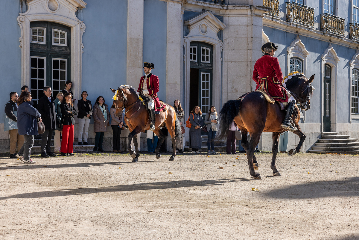 03 B2B Acao De Charme PNQ Novembro 2025